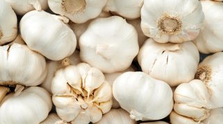 Bawang putih