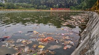 Situ Asih Pulo Depok